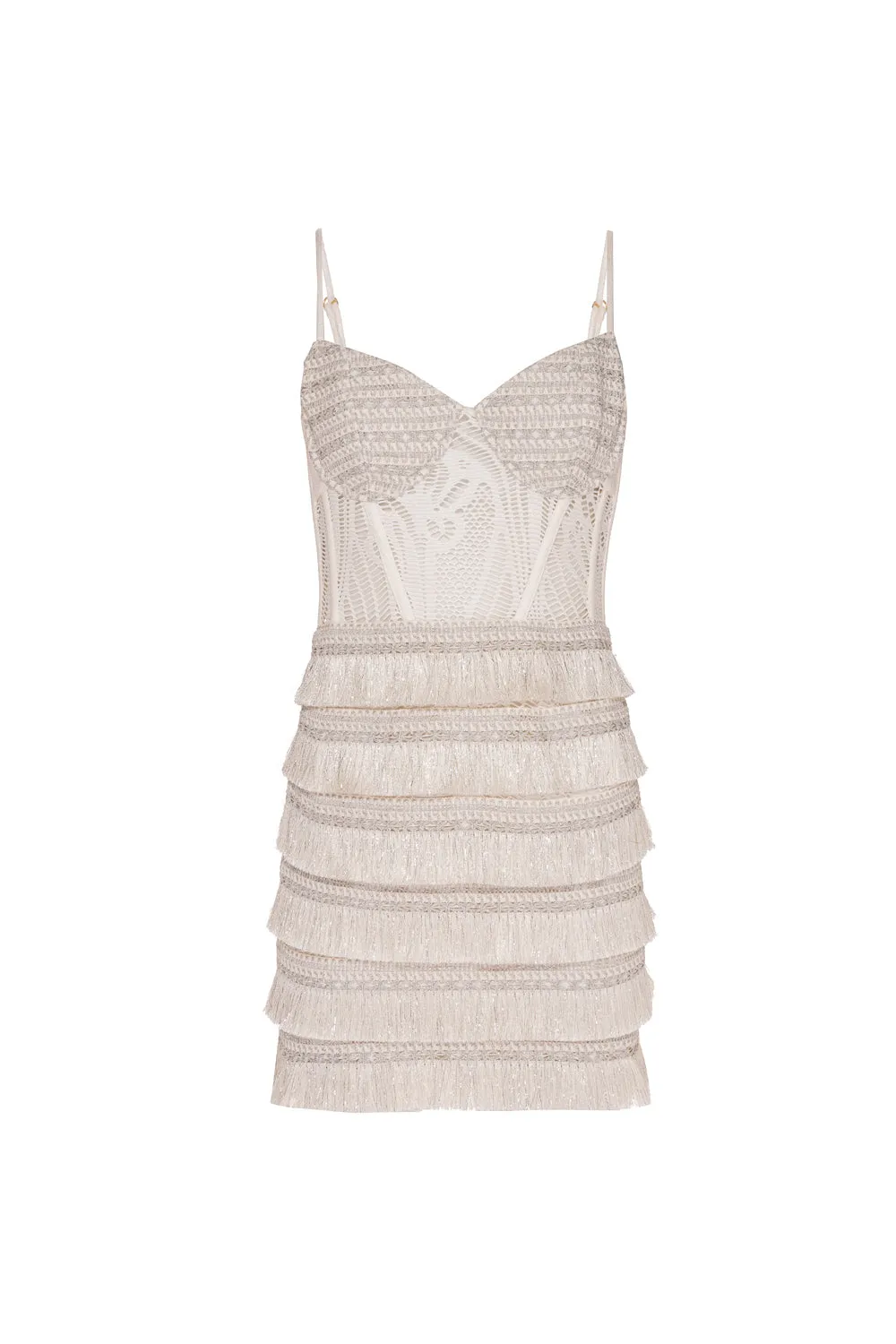 Metallic Fringe Bustier Mini Dress